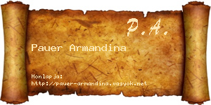 Pauer Armandina névjegykártya